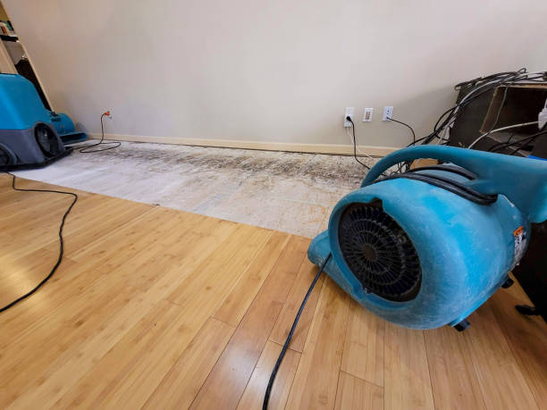 Professional Basement Flood Cleanup technician working in Malcolm, NE